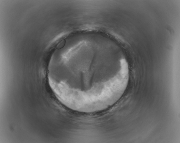 X0000113251206200910221114