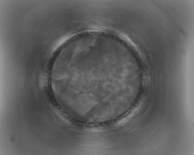 X0000113251208200910221114