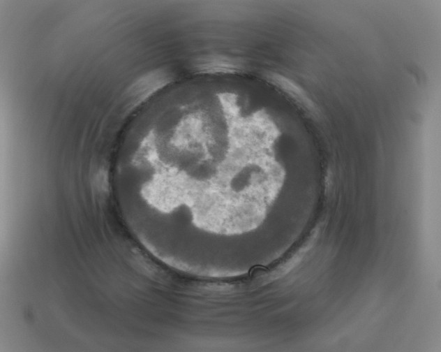 X0000113251209200910221114