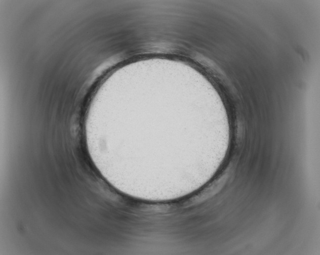 X0000113251210200910221114