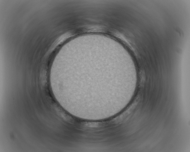 X0000113251211200910221114