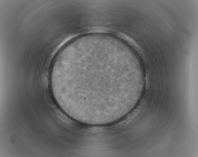 X0000113251212200910221114