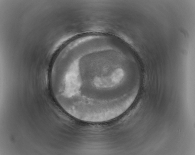 X0000113251214200910221114