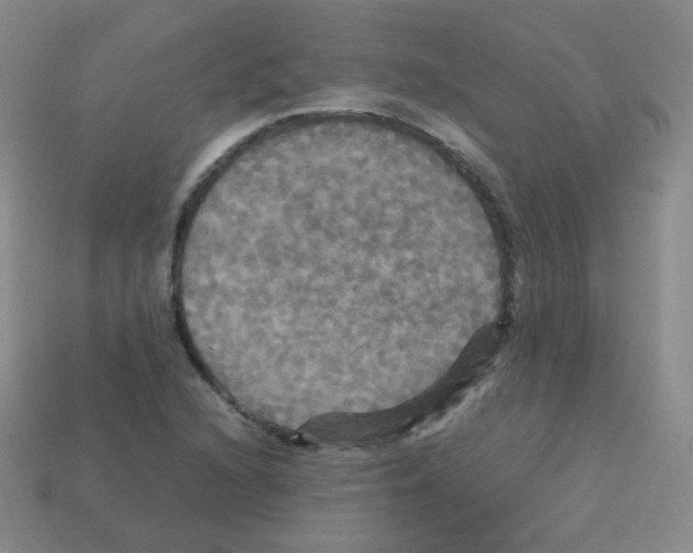 X0000113251216200910221114