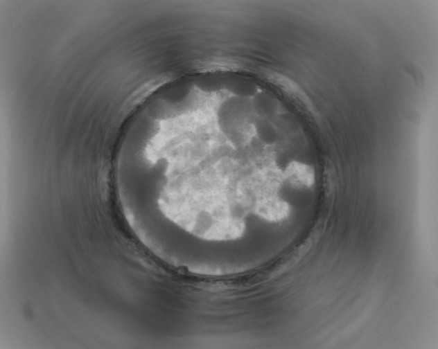 X0000113251217200910221114