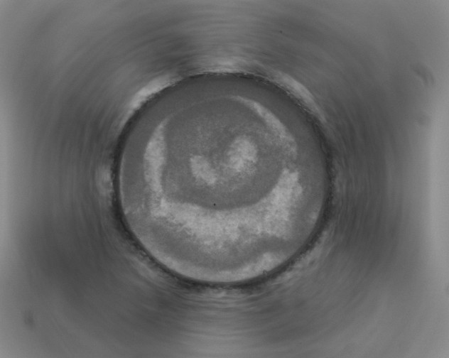 X0000113251218200910221114