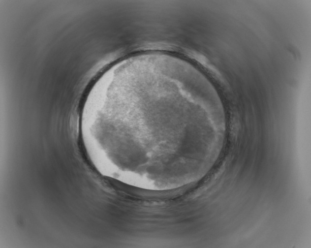 X0000113251221200910221114