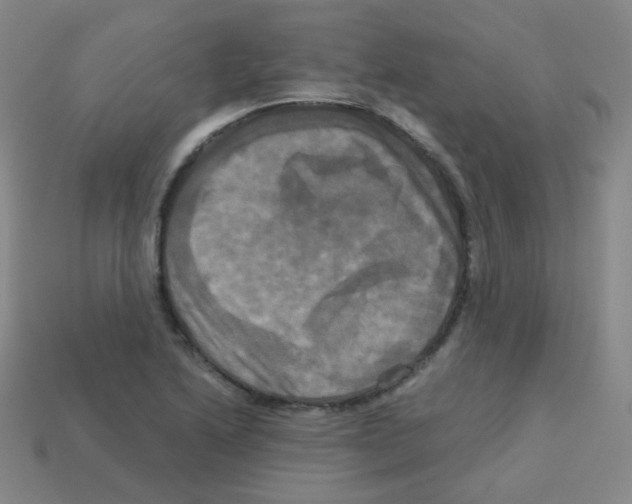 X0000113251222200910221114