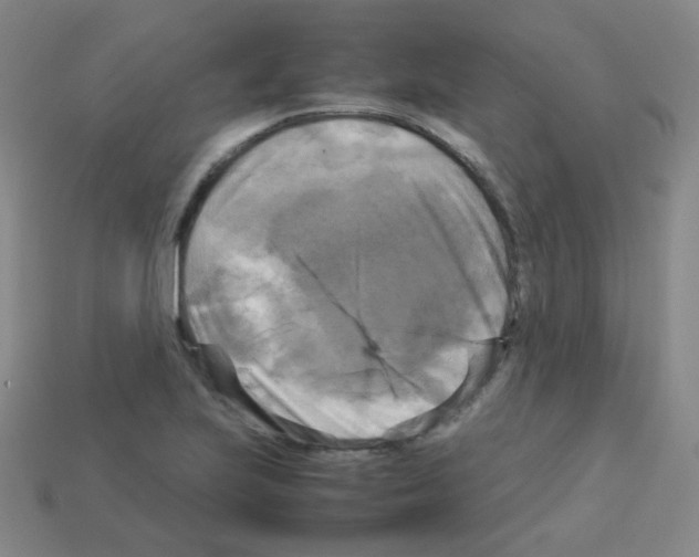 X0000113251223200910221114