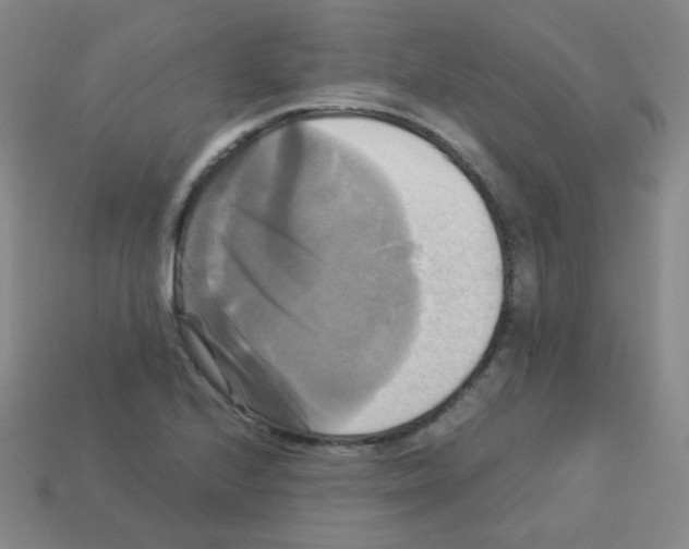 X0000113251224200910221114