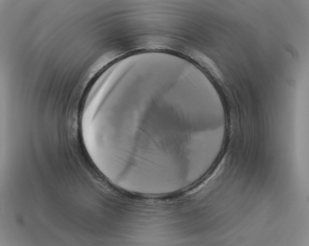 X0000113251226200910221114