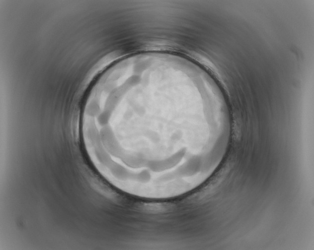 X0000113251227200910221114