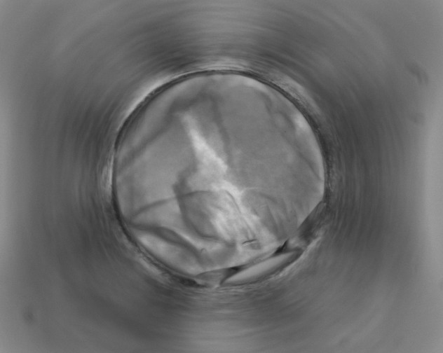 X0000113251228200910221114