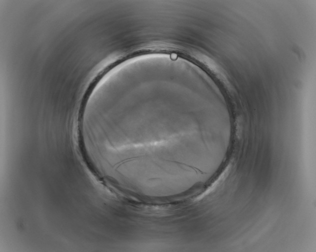 X0000113251229200910221114