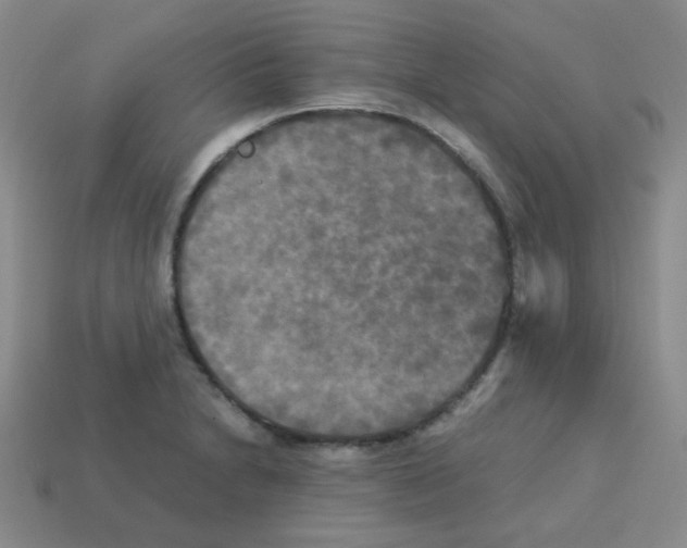 X0000113251230200910221114