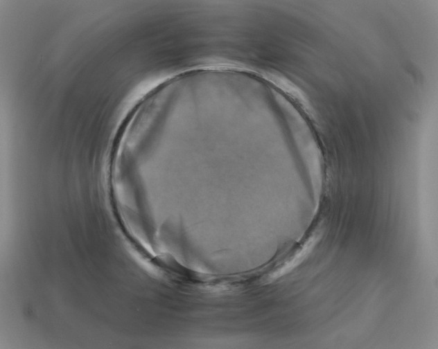 X0000113251231200910221114