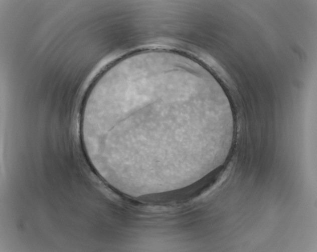 X0000113251232200910221114