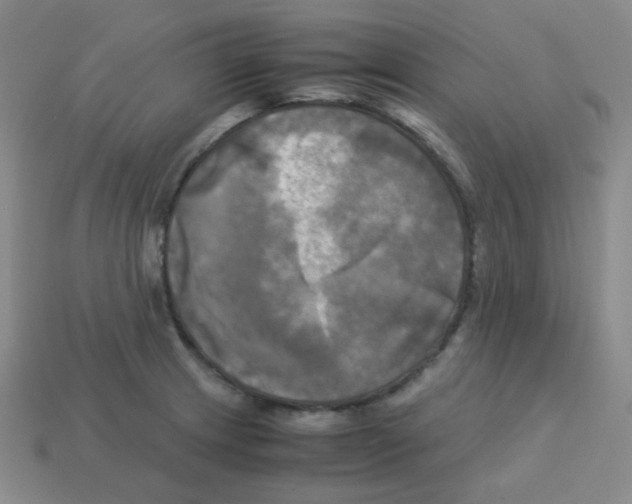 X0000113251233200910221114