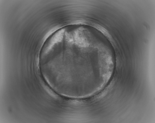 X0000113251234200910221114