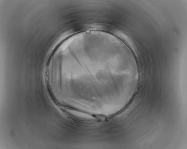 X0000113251235200910221114