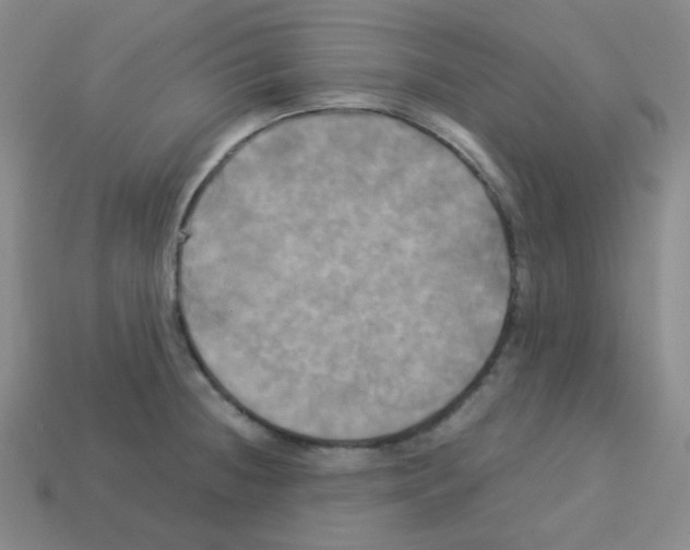 X0000113251236200910221114