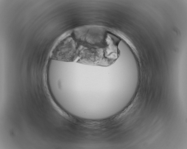 X0000113251237200910221114