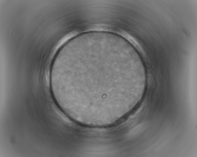 X0000113251238200910221114