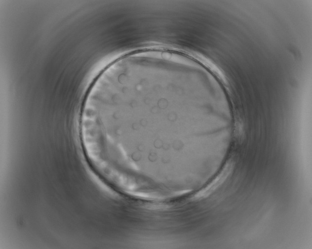 X0000113251239200910221114