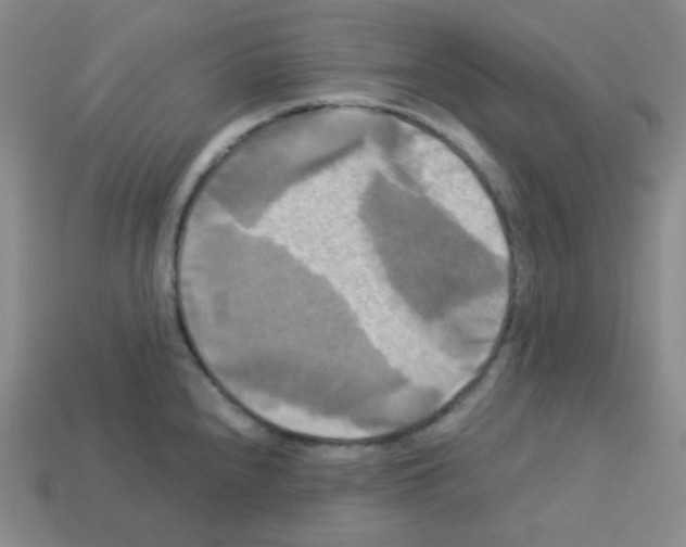 X0000113251240200910221114