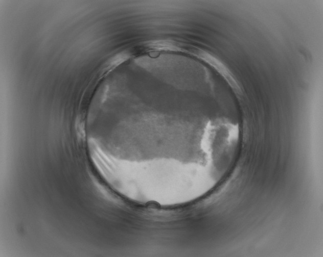 X0000113251241200910221114