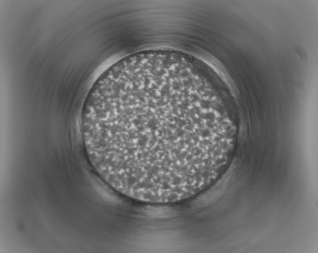 X0000113251242200910221114