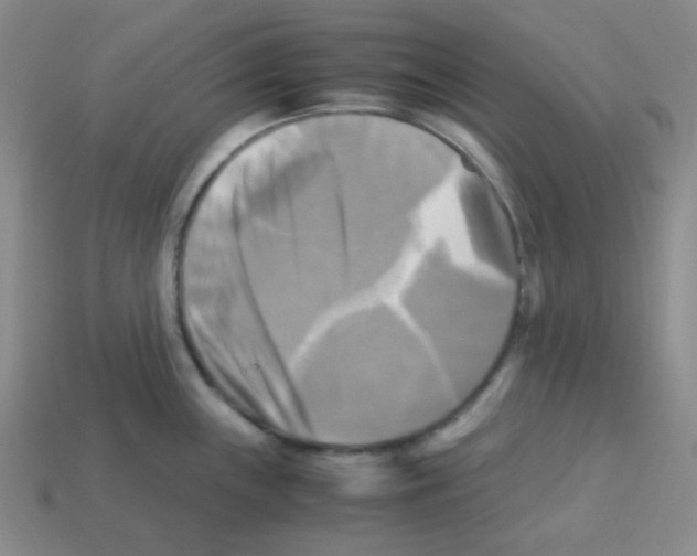 X0000113251243200910221114