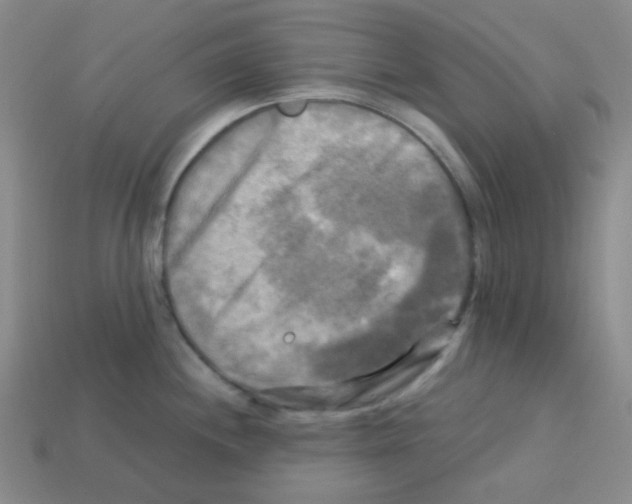 X0000113251244200910221114