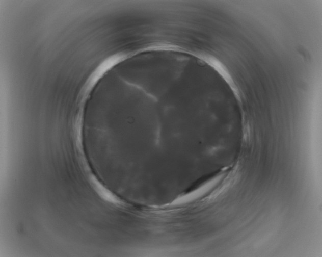 X0000113251245200910221114