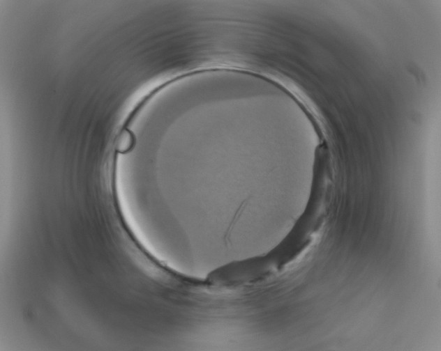 X0000113251246200910221114