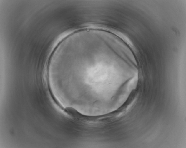 X0000113251247200910221114