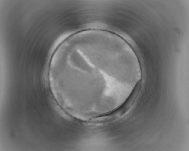 X0000113251248200910221114