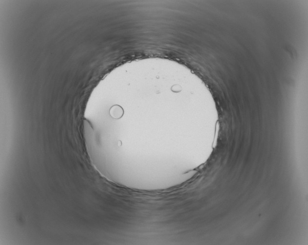 X0000113251249200910221114