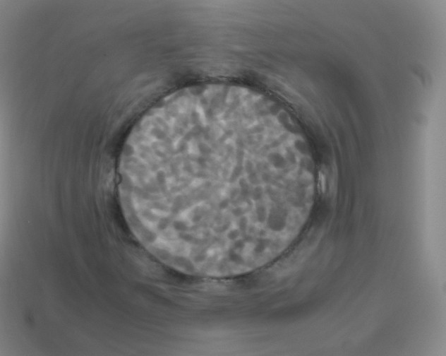 X0000113251251200910221114