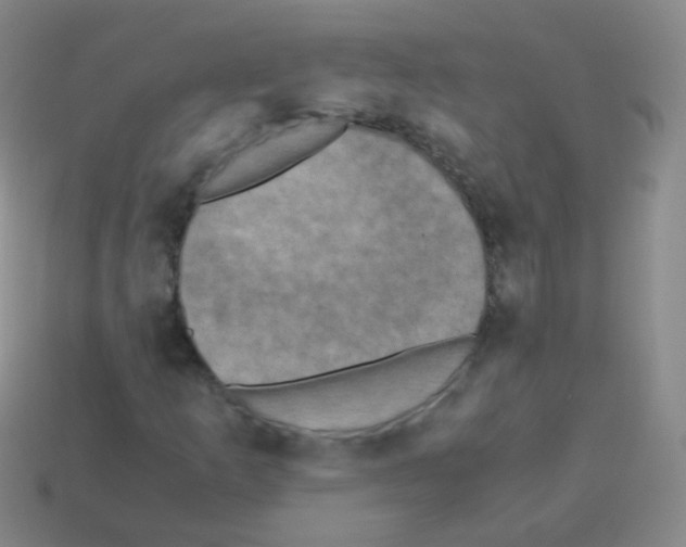 X0000113251253200910221114