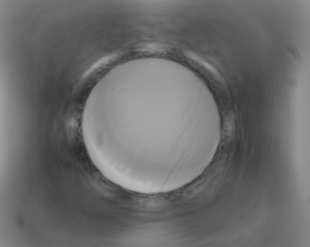 X0000113251254200910221114