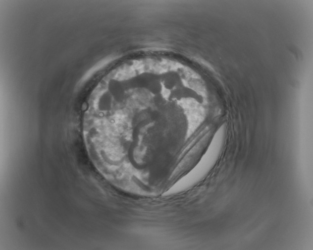 X0000113251255200910221114