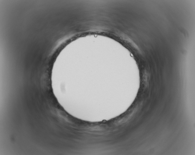 X0000113251256200910221114