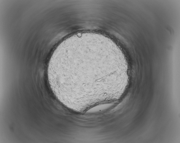 X0000113251257200910221114