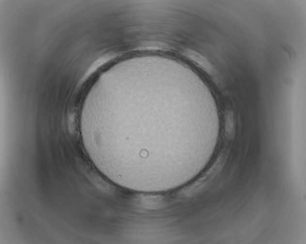 X0000113251258200910221114