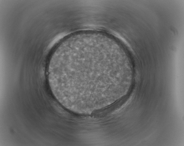 X0000113251259200910221114