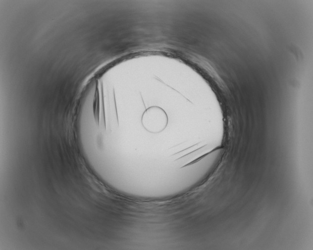 X0000113251260200910221114