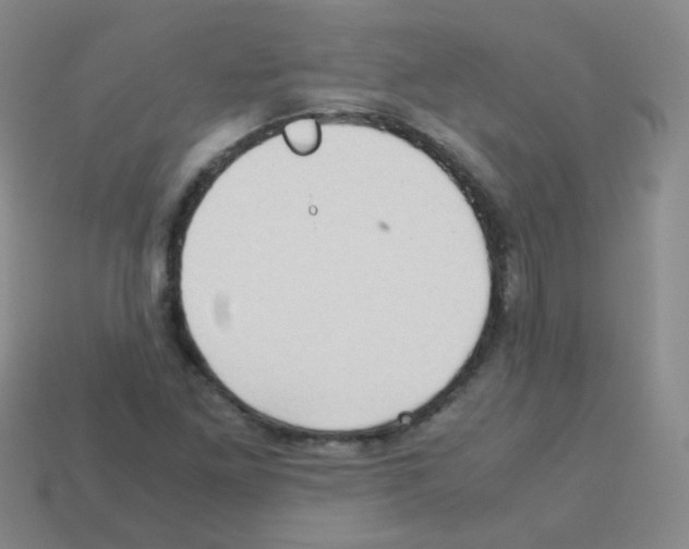 X0000113251261200910221114