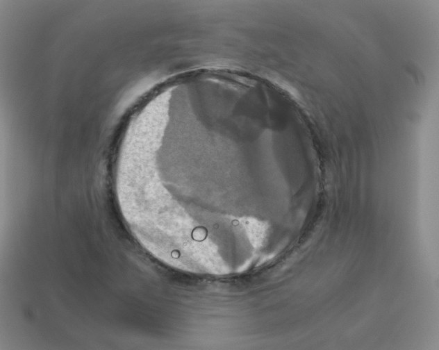 X0000113251263200910221114