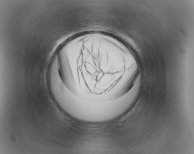 X0000113251264200910221114